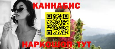 хмурый Кингисепп