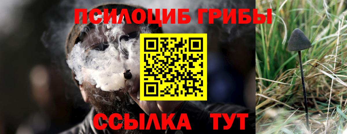 Псилоцибиновые грибы мицелий Костомукша