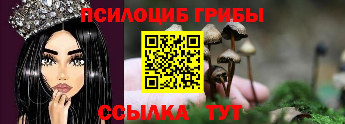 Костомукша  Псилоцибиновые грибы ЛСД  Вход с VPN 